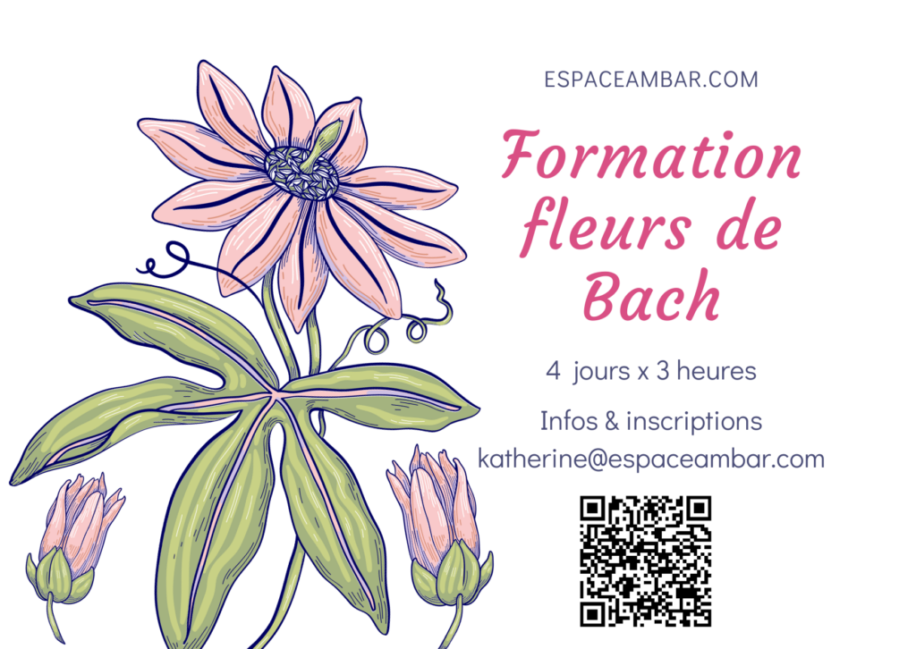 Niveau 1: Initiation aux fleurs de Bach