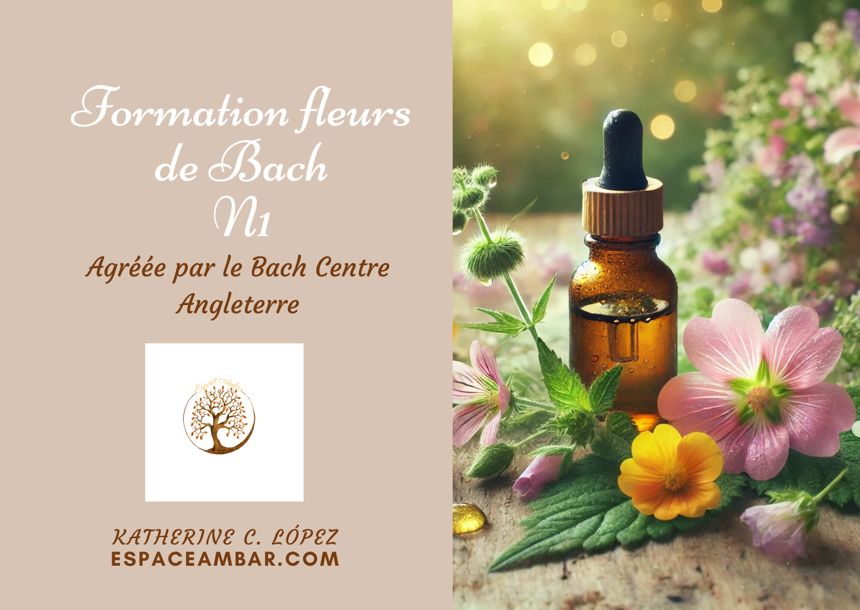 Niveau 1: Initiation aux fleurs de Bach