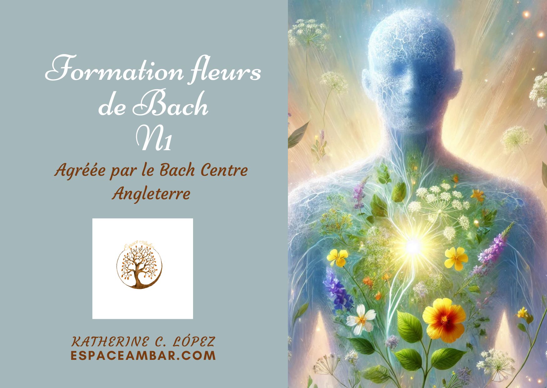 Niveau 1 : Initiation aux fleurs de Bach